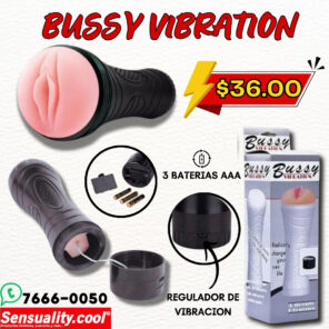 VAGINA BUSSY VIBRATION