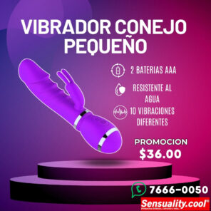 VIBRADOR CONEJO PEQUEÑO