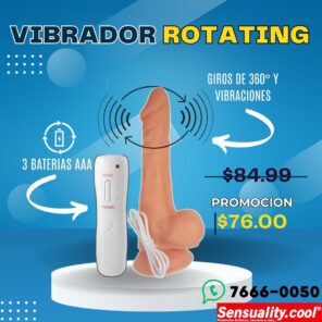 VIBRADOR ROTATING