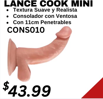articulos varios4
