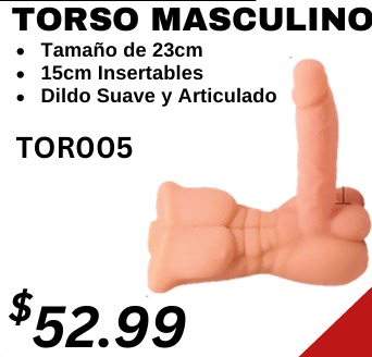 torso realista masculino