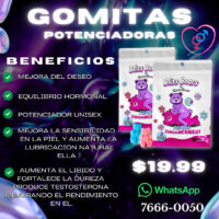 GOMITAS BONER BEAR