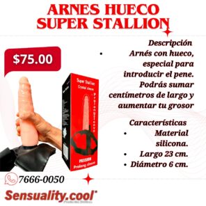 ARNES HUECO SUPER STALLION